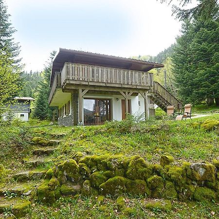 Le Schwarzwald - A Proximite Des Stations De Ski La Bresse Extérieur photo