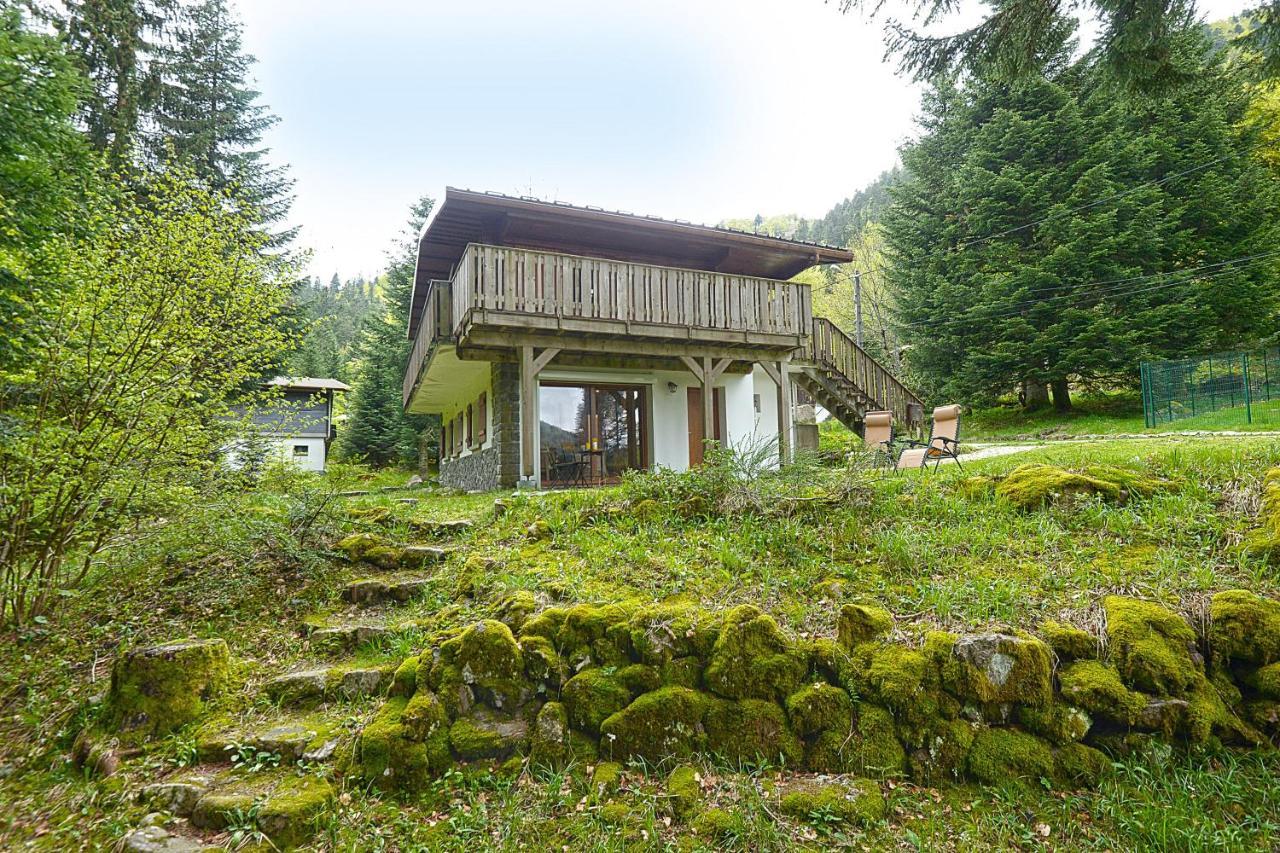Le Schwarzwald - A Proximite Des Stations De Ski La Bresse Extérieur photo